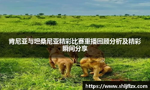 肯尼亚与坦桑尼亚精彩比赛重播回顾分析及精彩瞬间分享
